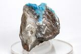 Vibrant Blue, Cyanotrichite with Cubic Fluorite - China #218401-2